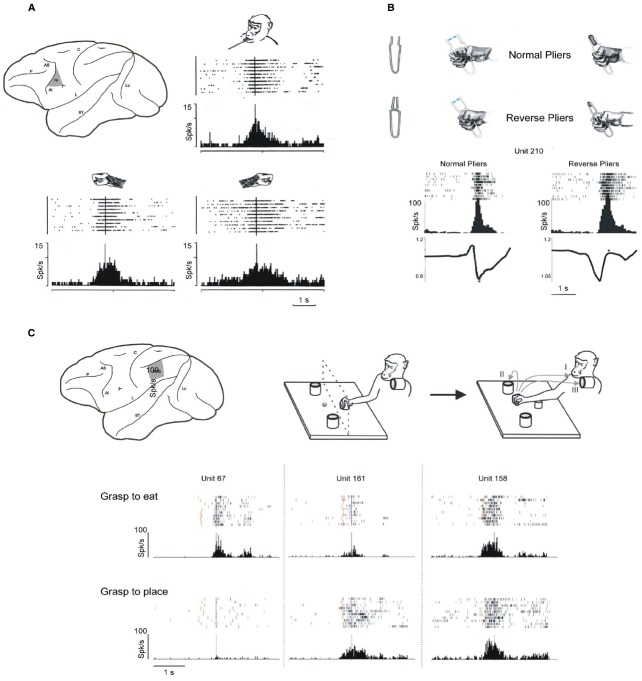 FIGURE 3