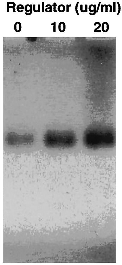 FIG. 7.