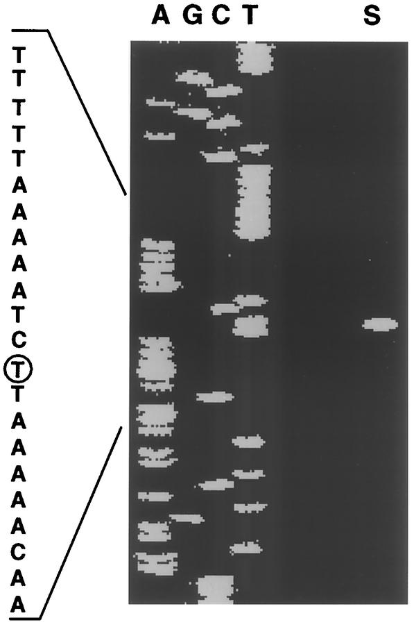 FIG. 5.