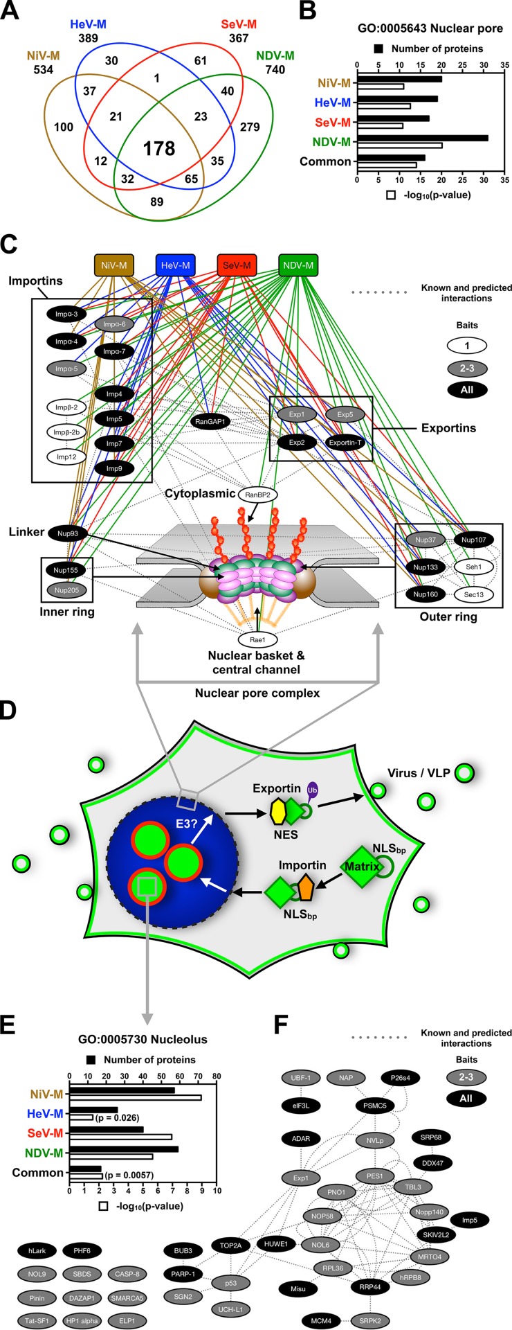 Fig 8