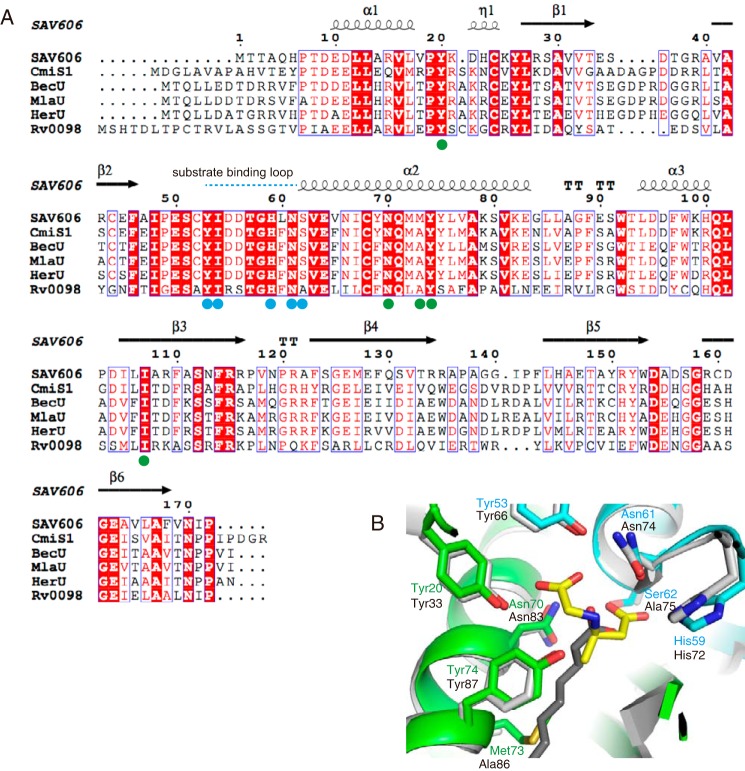 Figure 6.