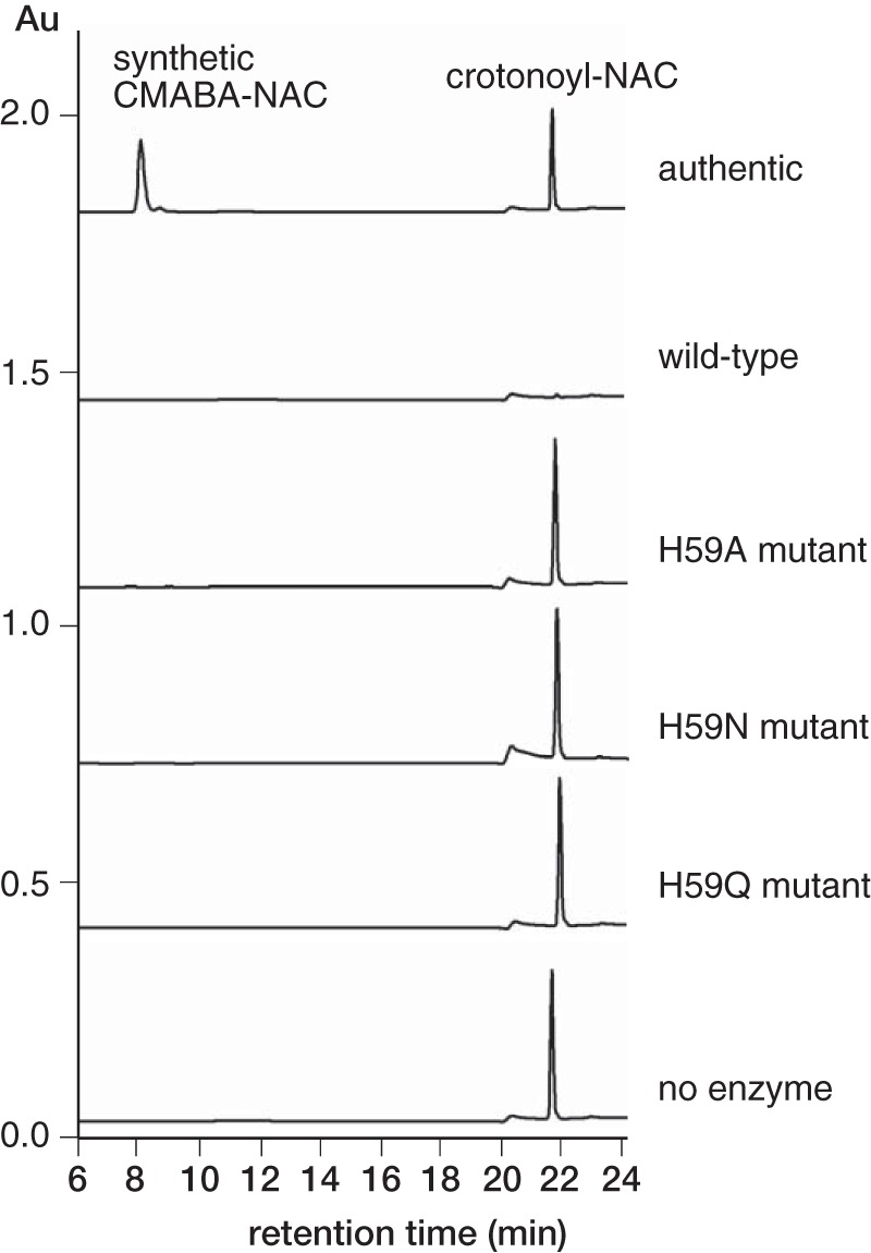 Figure 5.