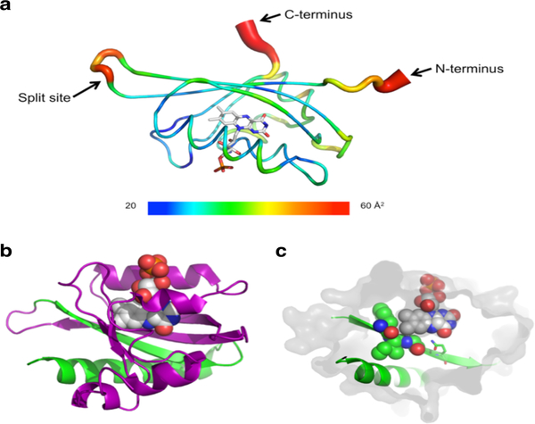 Figure 2.