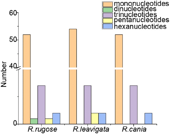 Fig. 3