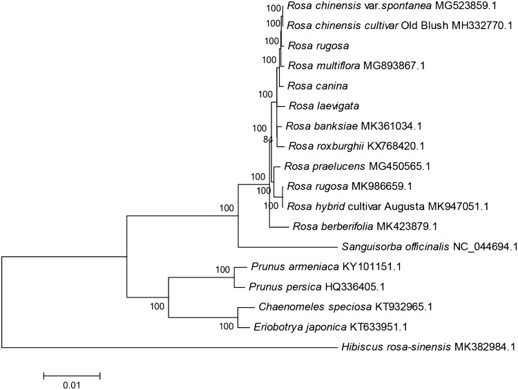 Fig. 6