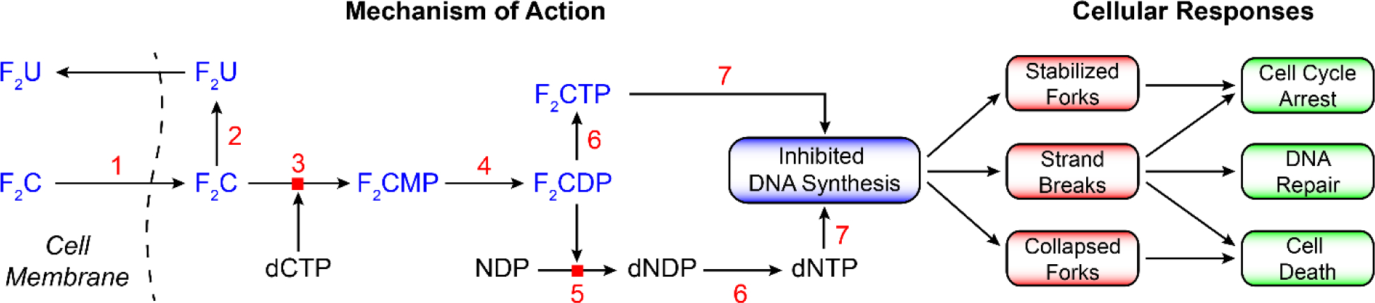 Figure 13.