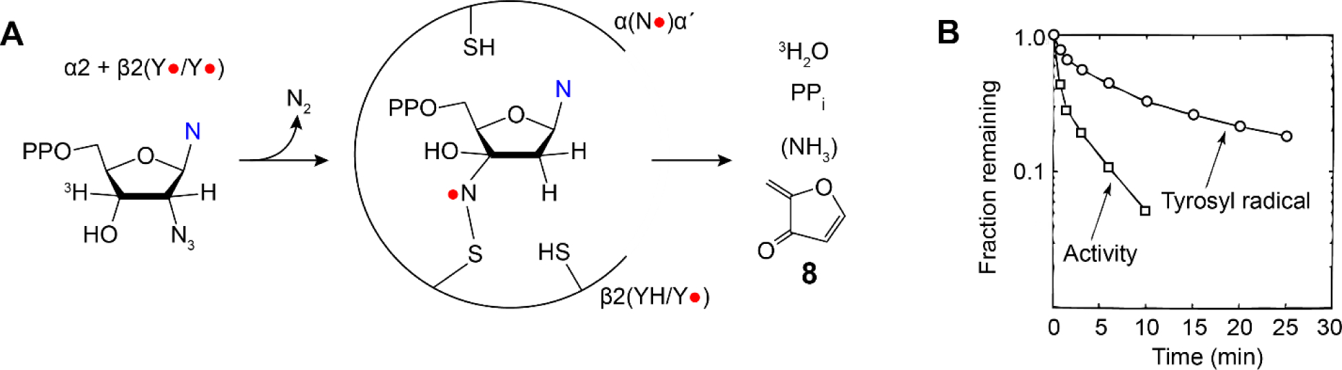 Figure 11.