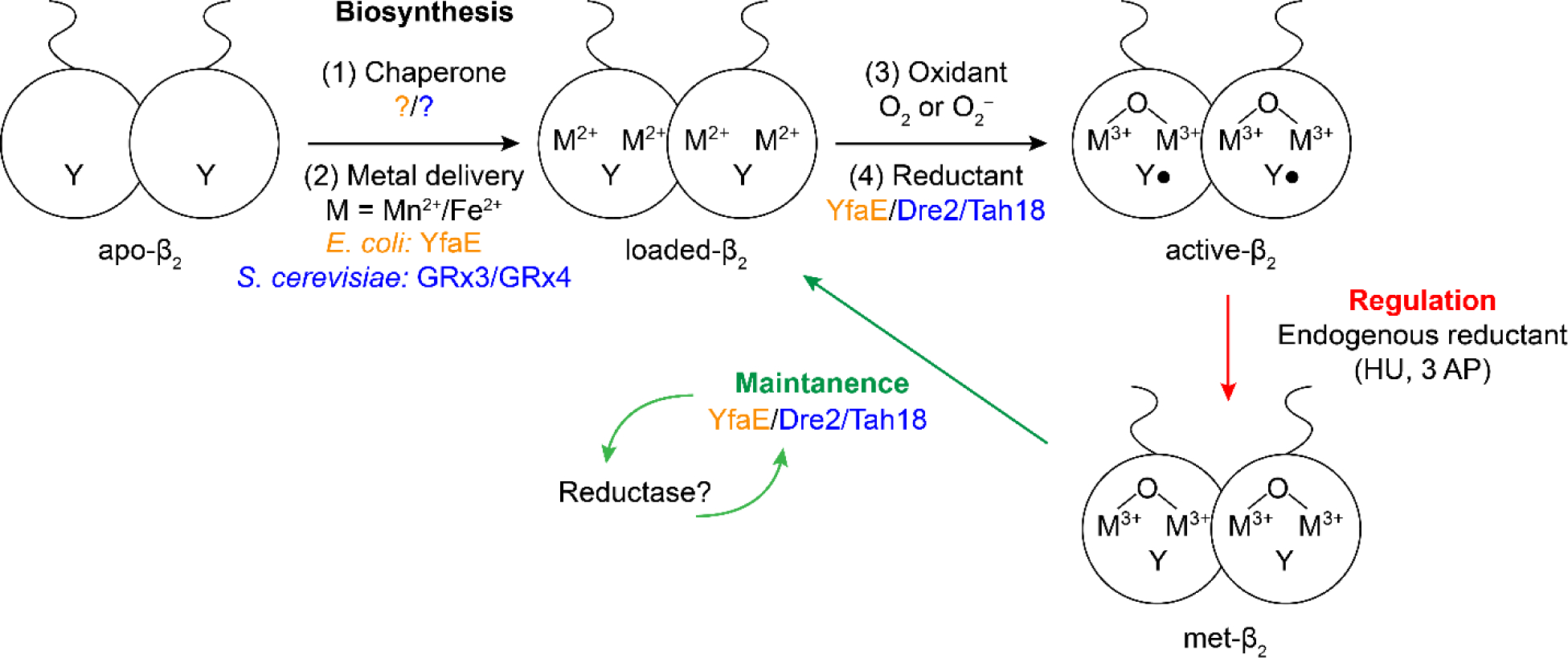 Figure 15