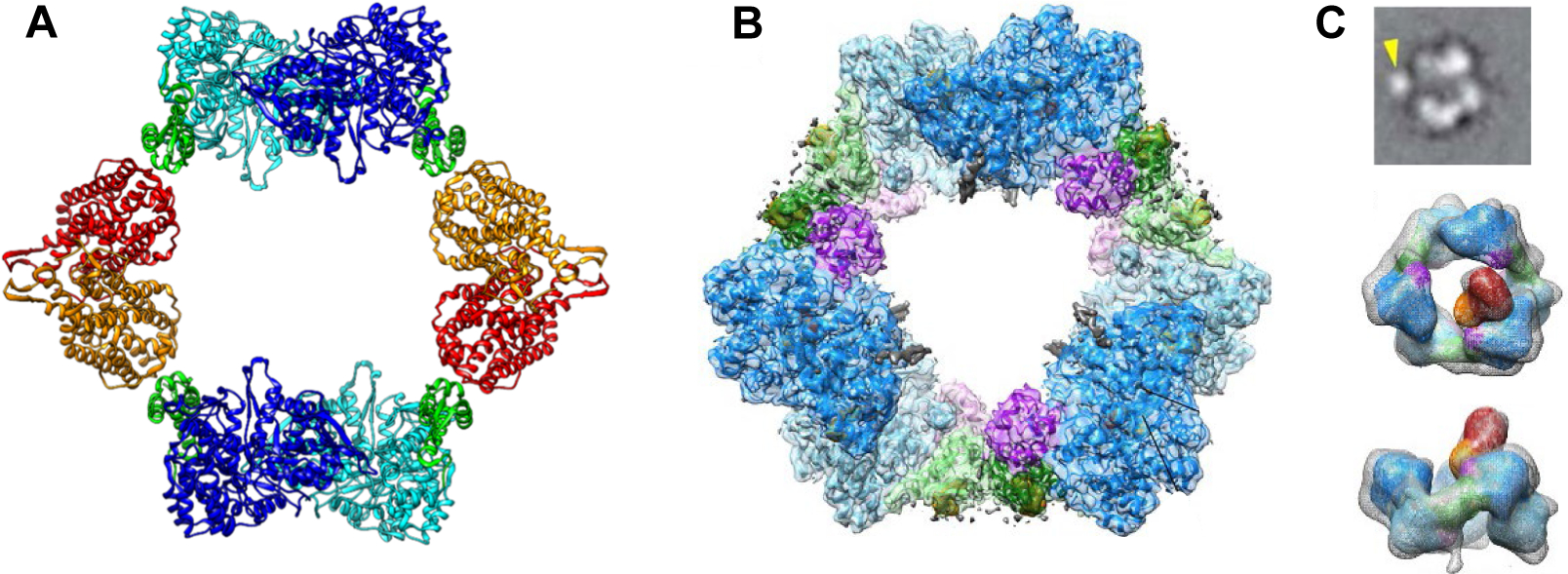 Figure 6.