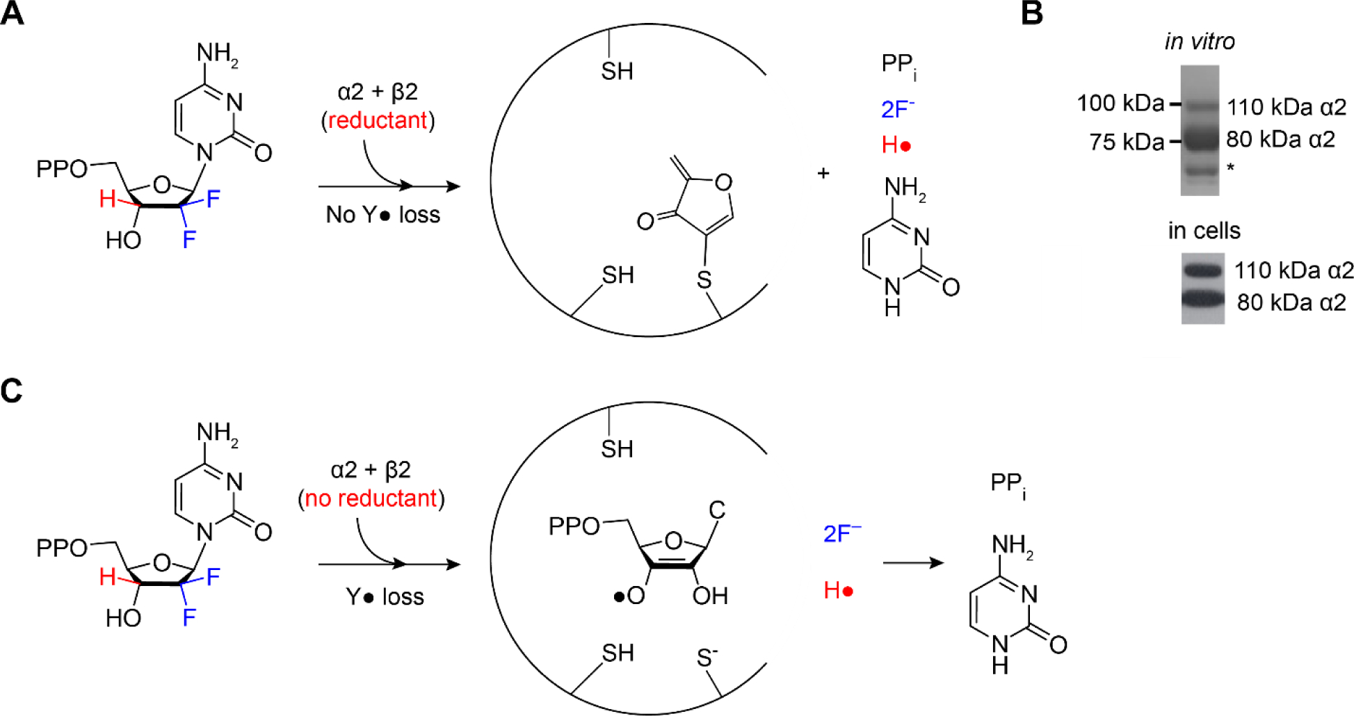 Figure 12.