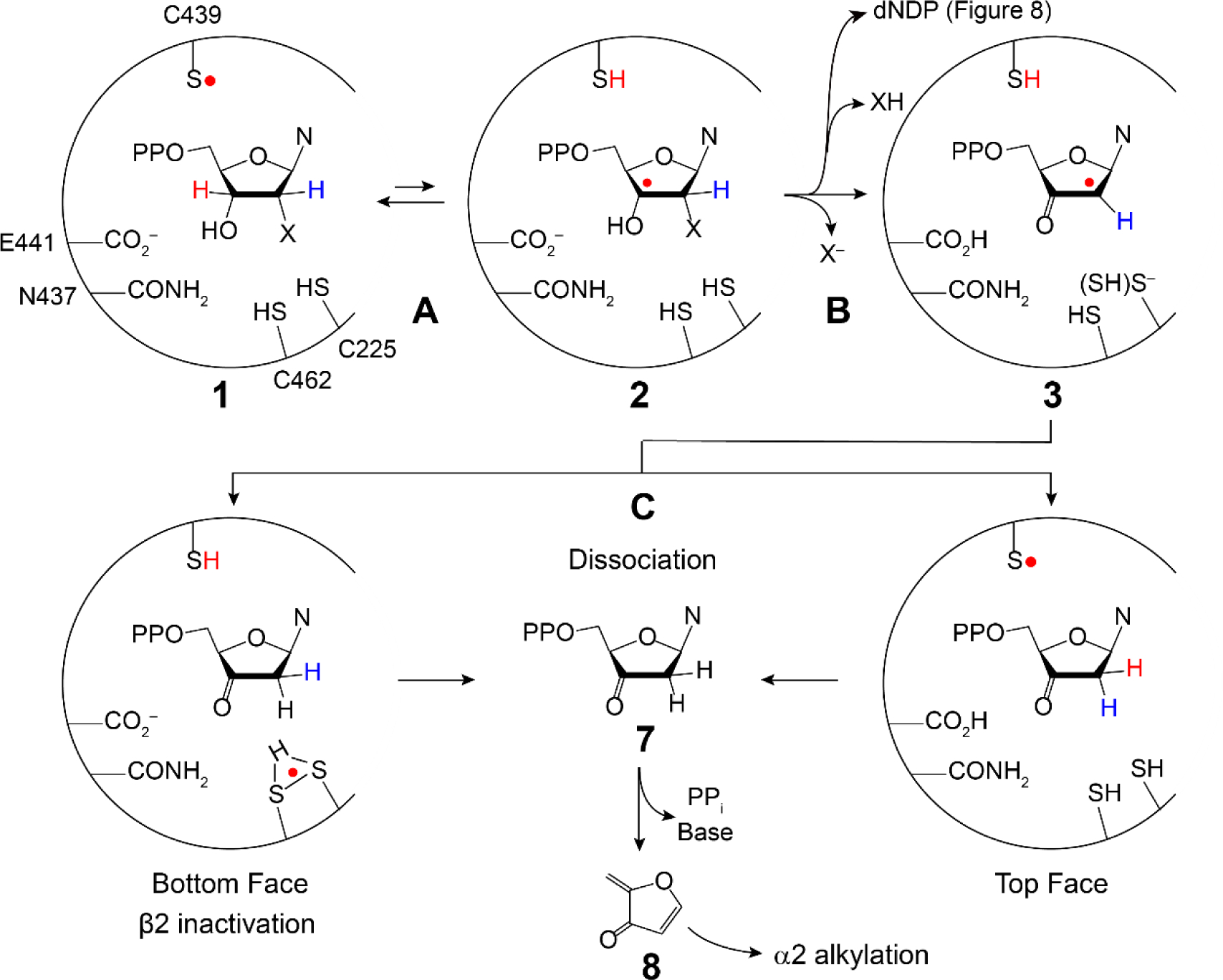 Figure 10.