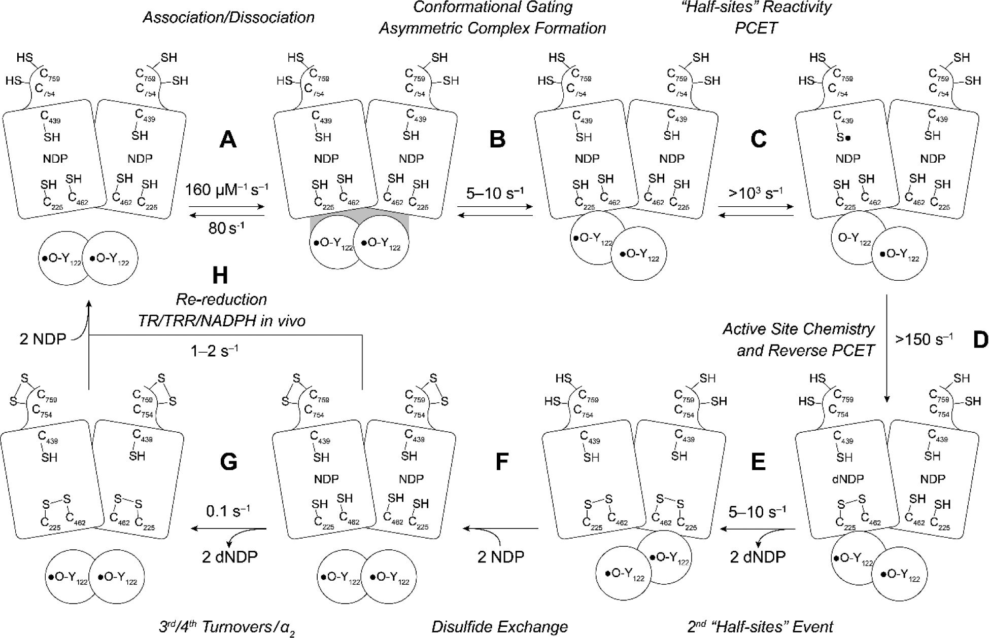 Figure 7.