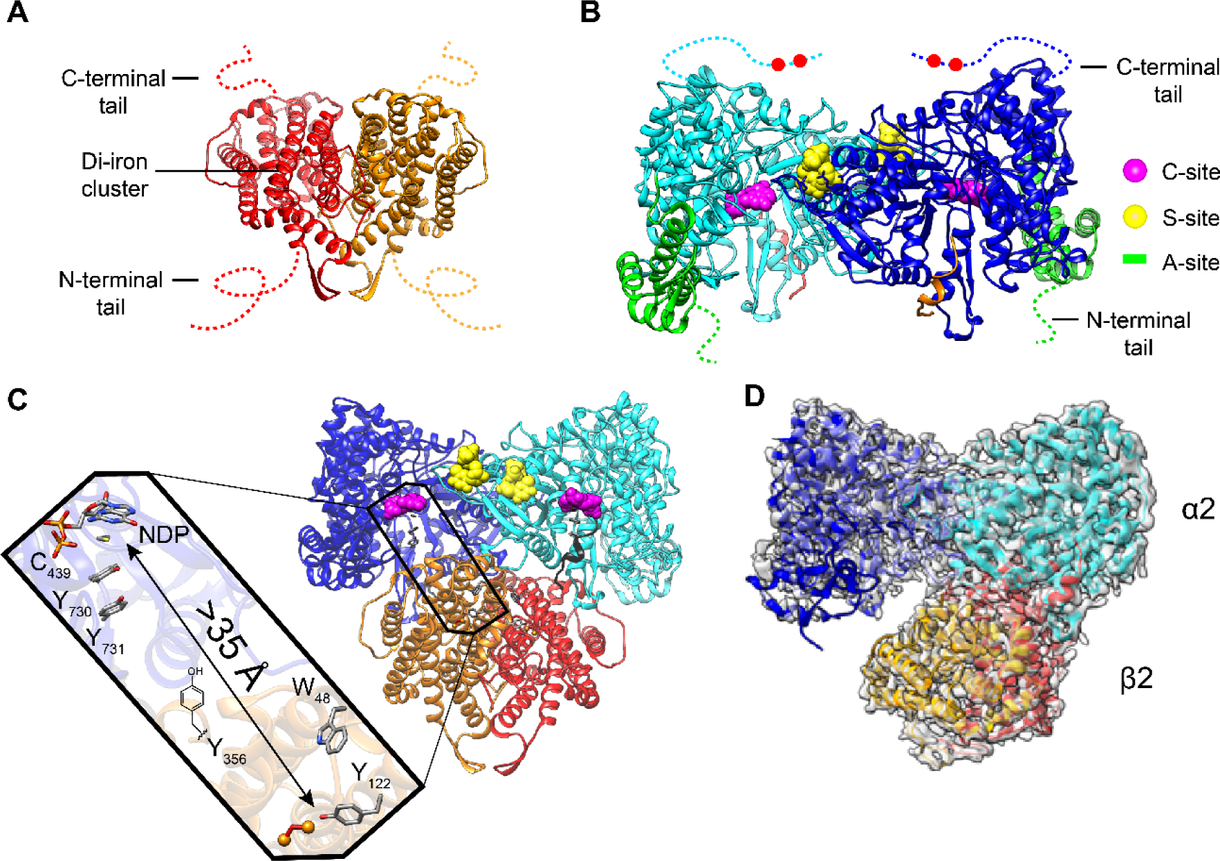 Figure 2.