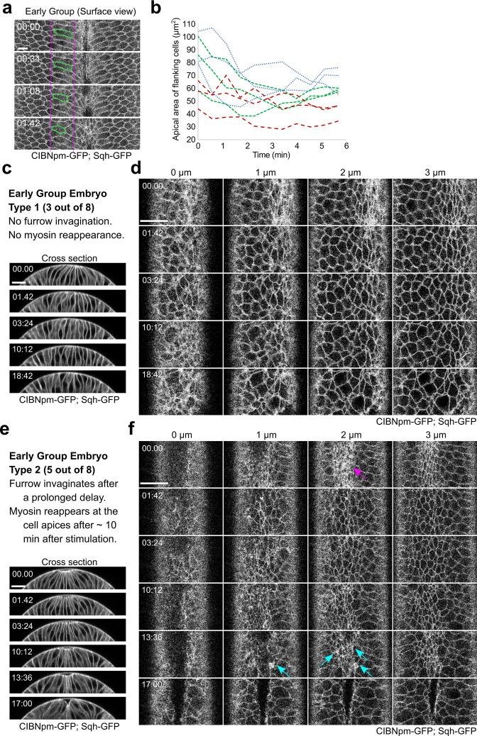 Figure 4—figure supplement 2.