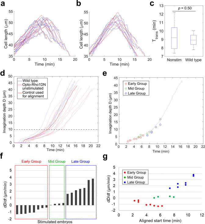 Figure 4—figure supplement 1.