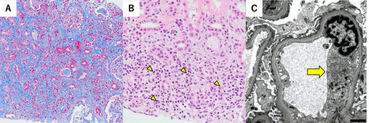 Fig. 2