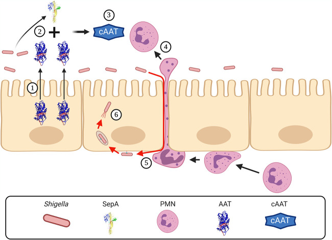 FIG 6