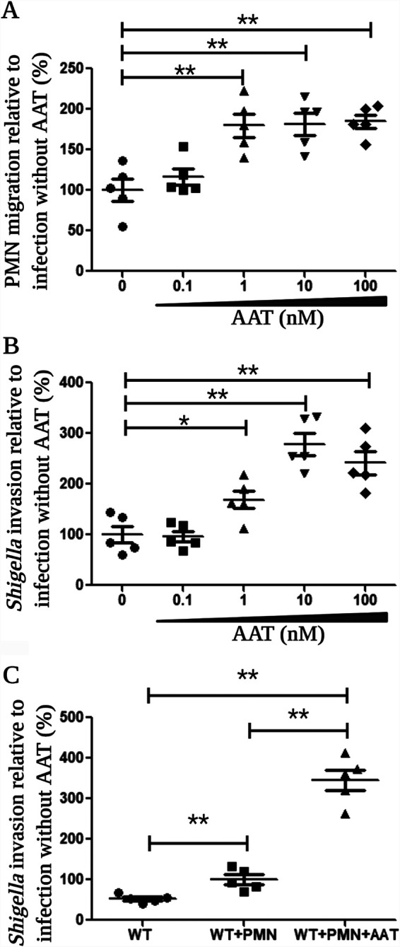 FIG 3