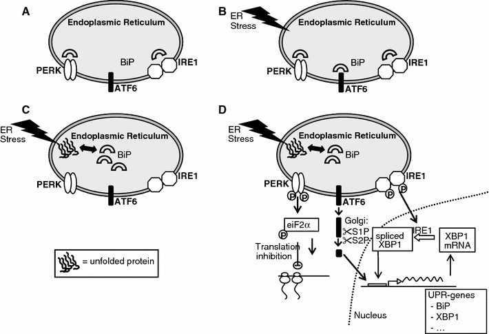 Fig. 2