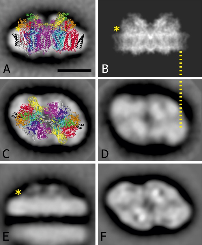 FIGURE 10.