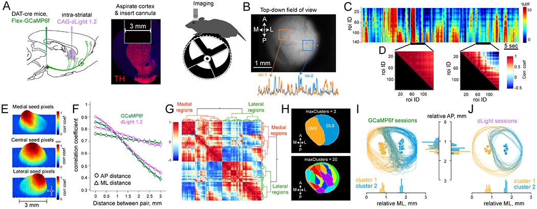 Figure 1: