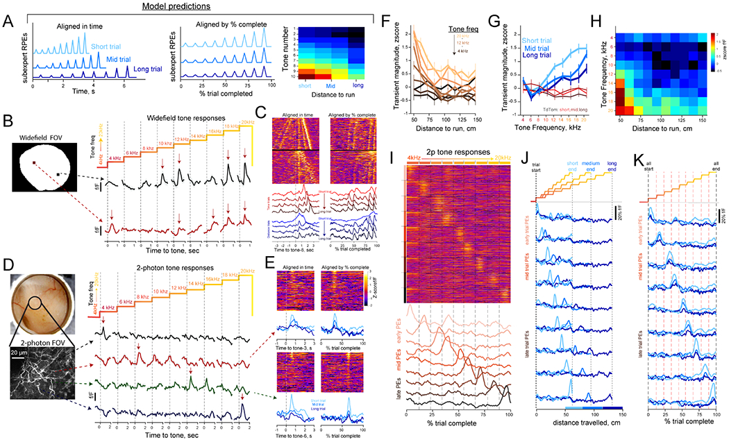 Figure 7: