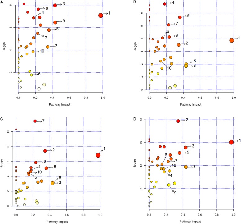 FIGURE 3