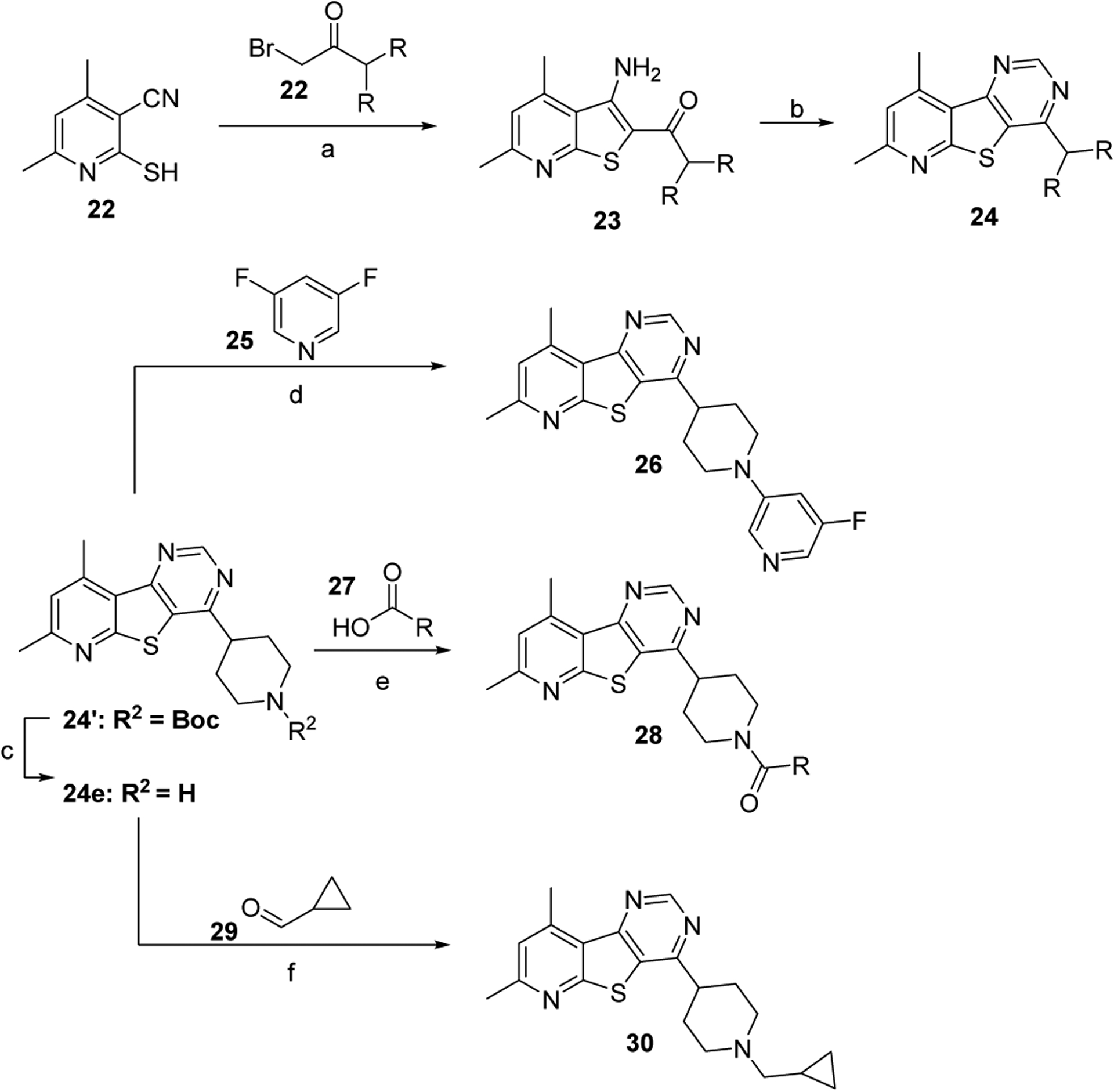 Scheme 2.