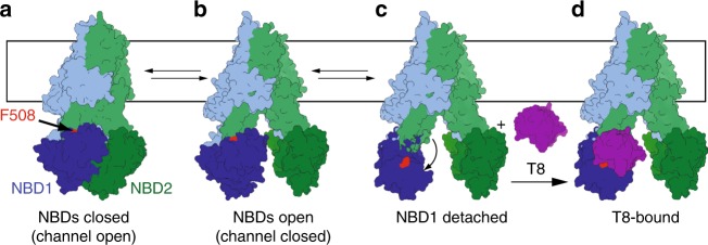 Fig. 7