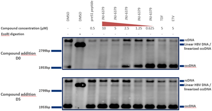 FIG 6