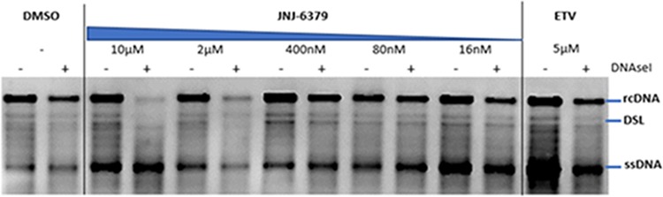 FIG 2