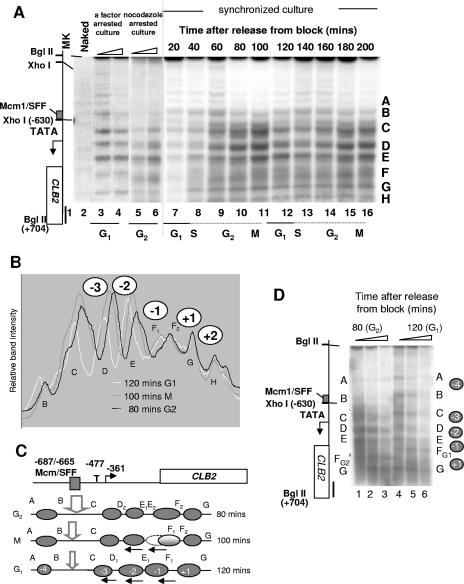 FIG. 3.