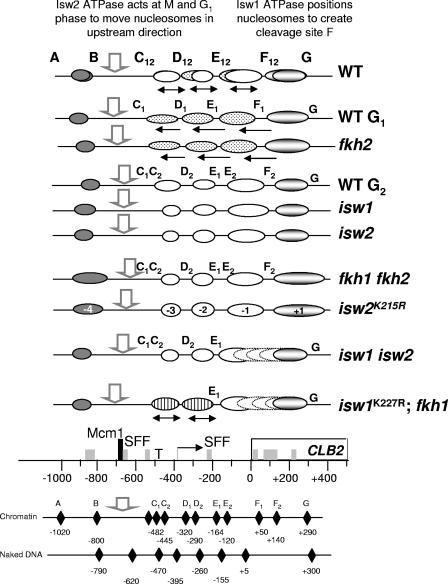 FIG. 7.