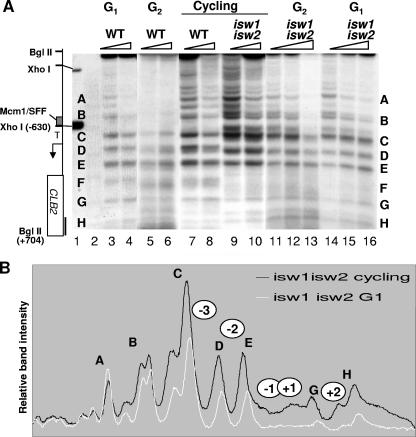 FIG. 4.