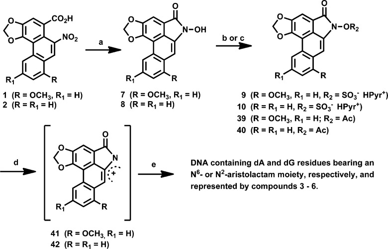 Scheme 6