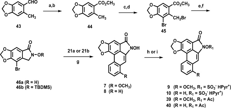 Scheme 7