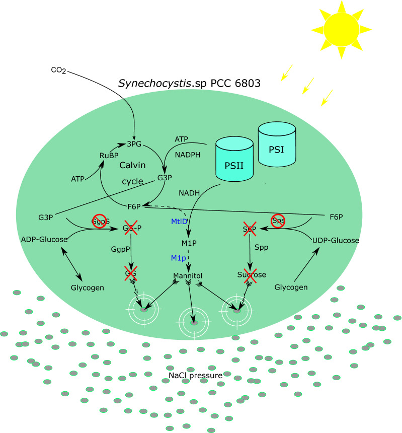 Fig. 1