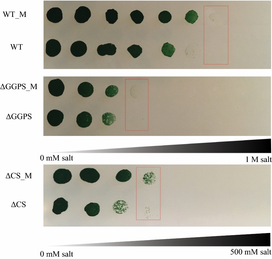 Fig. 4