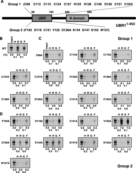 FIGURE 7.