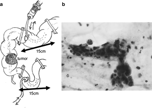 Fig. 1