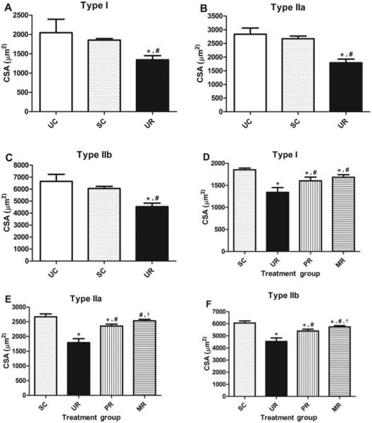 Reversibility of Abdominal Wall Atrophy and Fibrosis After Primary or ...