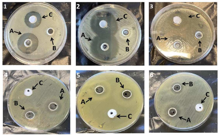 Figure 13