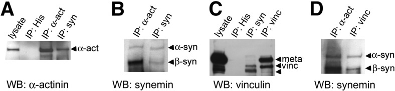 Figure 9.