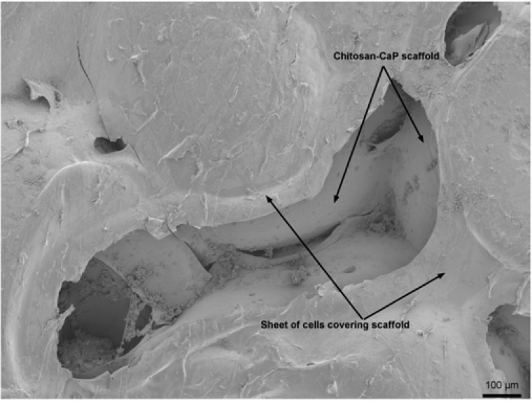 Fig. (3)