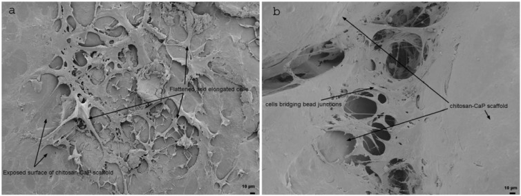 Fig. (2)