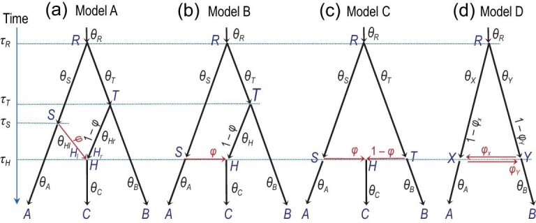 Figure 7.