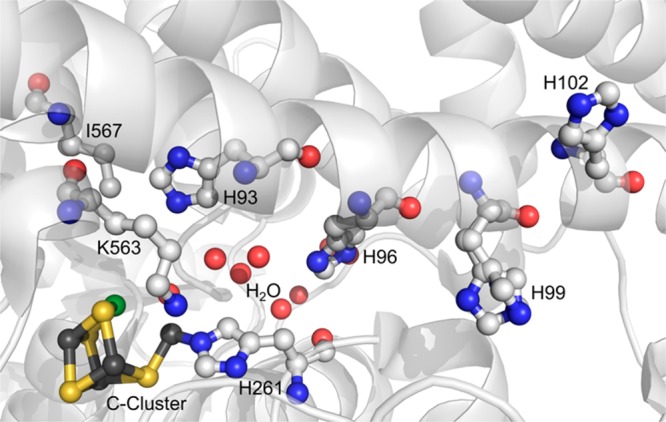 Figure 4