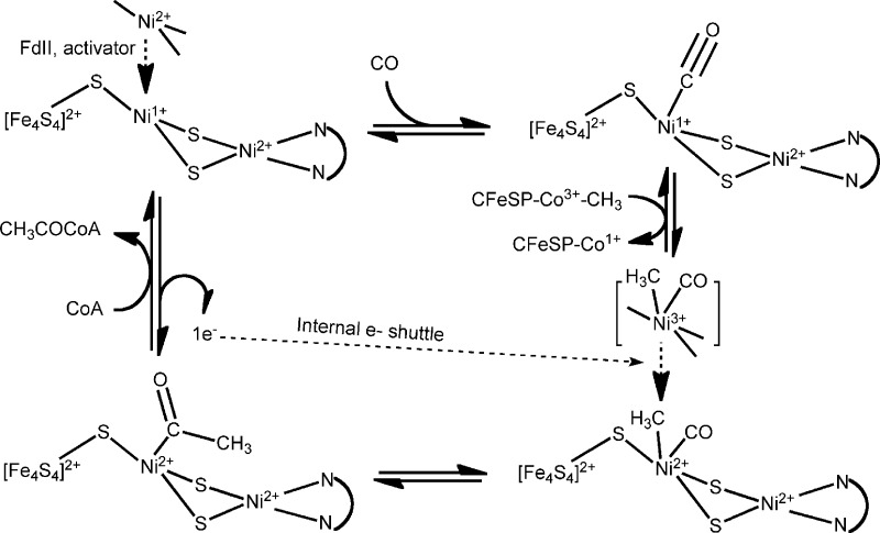 Scheme 6