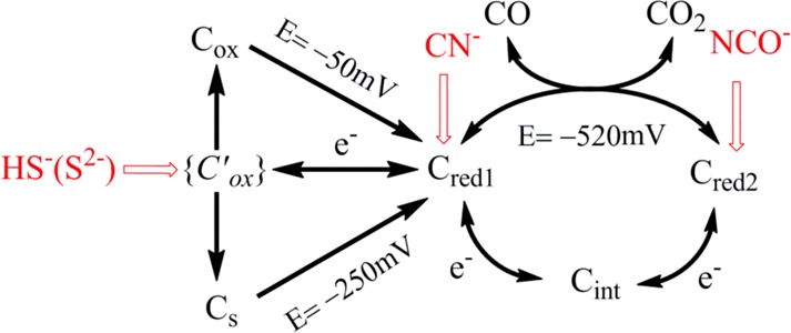 Scheme 5