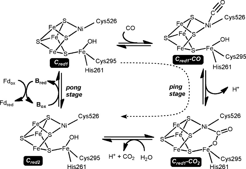 Scheme 2